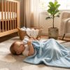 MANTA_BEBE_NANINHA_ELEFANTE_AZUL_CAMESA -3-